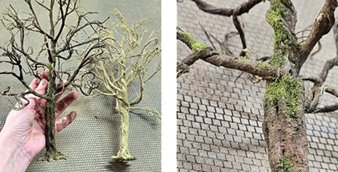 Een kale en een geschilderde miniatuurboom, en mos op een stam