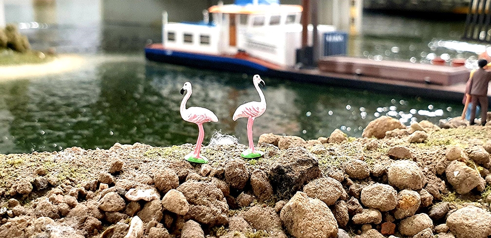 Flamingo bezoek Rotterdam